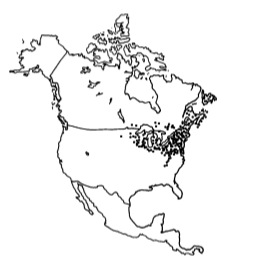 map shows the origin of Cranberries, history of the cranberry rosemary cocktail