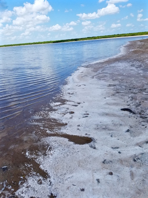 Rock salt on the shores of the Texas salt lake near Raymondville, Texas