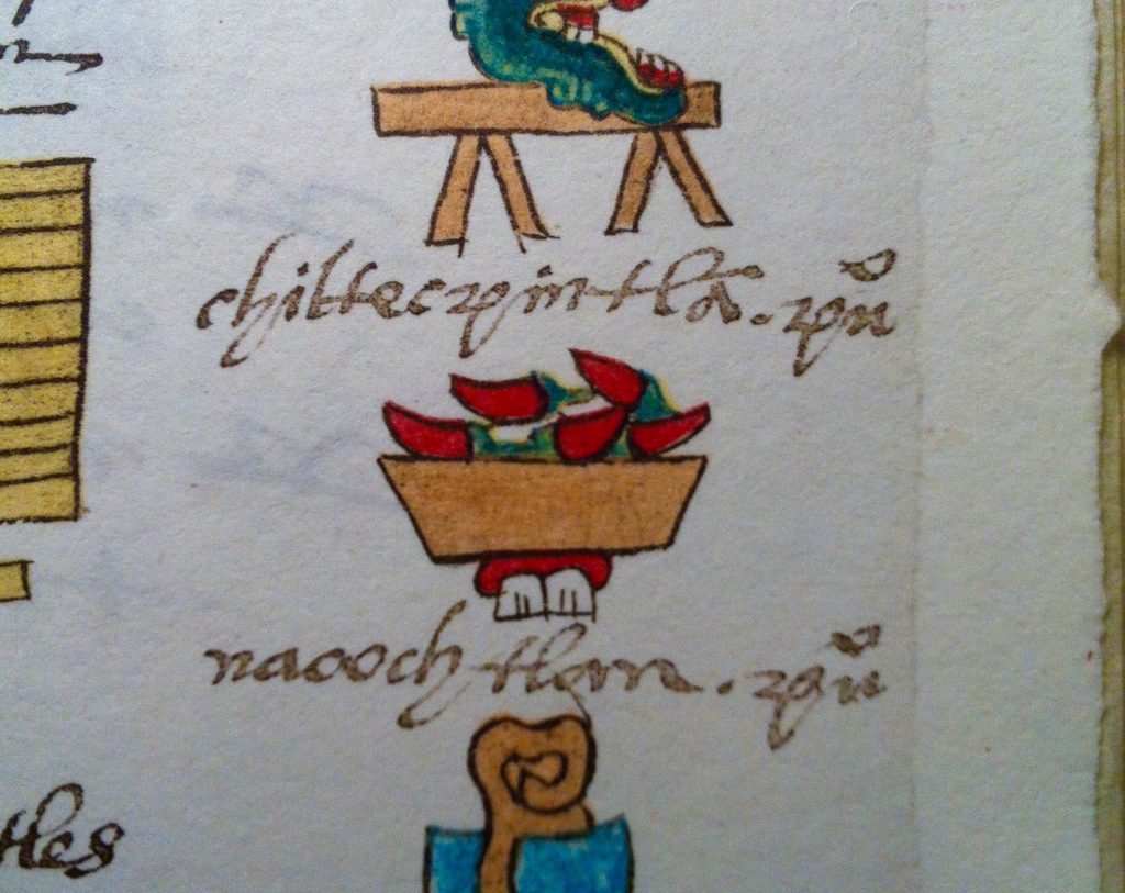 Rajas Poblanas are native to Mexico, as shown here in the Codex Mendoza
