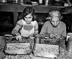 My Bourbon Pecan Pie recalls Pecan Shellers in San Antonio, working for starvation wages. 