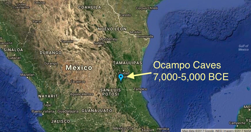 Acorn Squash originated in Ocampo, Tamaulipas, Mexico, just 300 miles south of Brownsville, Texas
