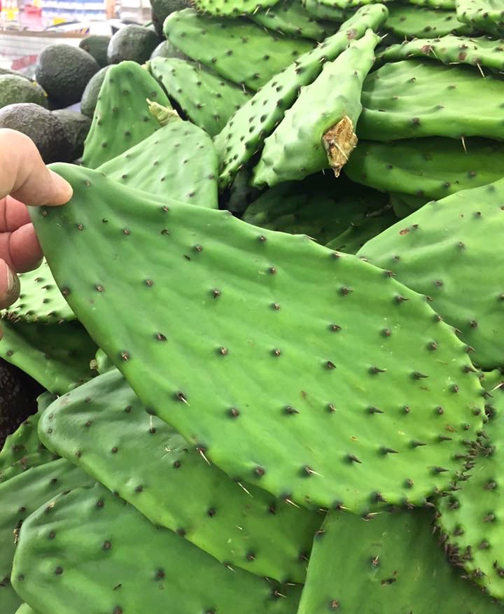 Cactus salad is made with paddles of the oppuntia, cactus